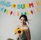 Glitter “Hello Summer” Banner – Sunflower and Colorful Popsicle Garland for Summer, Birthday Parties, Fireplace Mantle, and Party Decoration Supplies